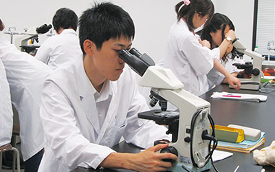 解剖生理学実験イメージ