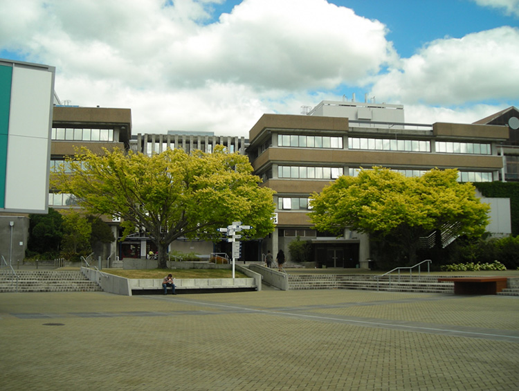 マッシー大学